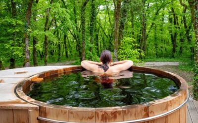 Les bains de forêt