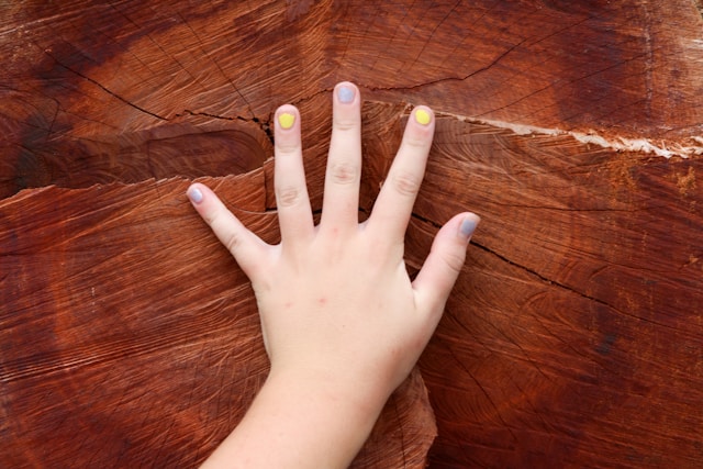 vernis semi permanent