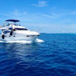 bateau occasion