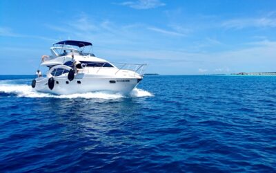 bateau occasion