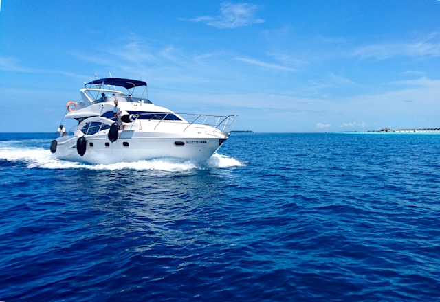 bateau occasion