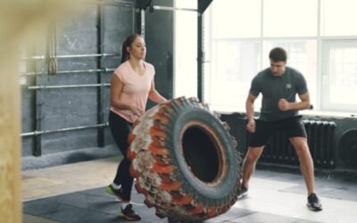 transformation musculaire