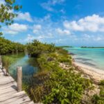 Ponton en bois traversant une lagune au Mexique, évoquant la question : Punta Allen ou Muyil : quelle partie de Sian Ka’an faut-il visiter ?