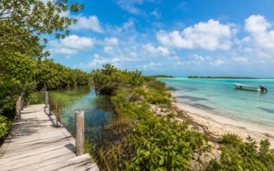 Ponton en bois traversant une lagune au Mexique, évoquant la question : Punta Allen ou Muyil : quelle partie de Sian Ka’an faut-il visiter ?