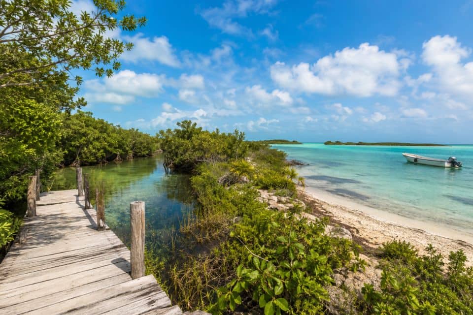 Ponton en bois traversant une lagune au Mexique, évoquant la question : Punta Allen ou Muyil : quelle partie de Sian Ka’an faut-il visiter ?