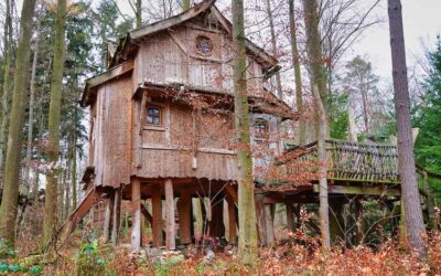 Un treehouse en bois perché parmi les arbres avec une passerelle