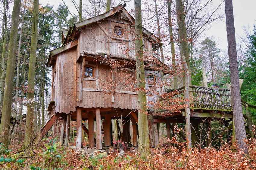 Un treehouse en bois perché parmi les arbres avec une passerelle